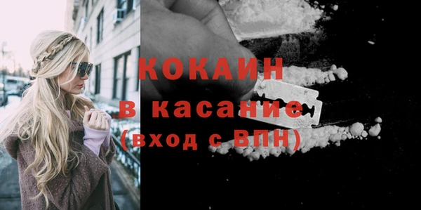 гашик Алексеевка