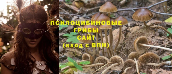 круглые Алзамай