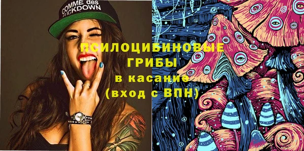 гашик Алексеевка