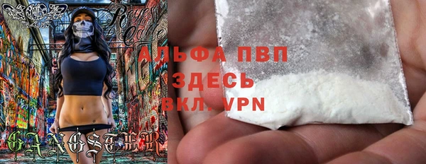 гашик Алексеевка