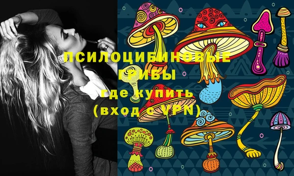 прущие крисы Армянск